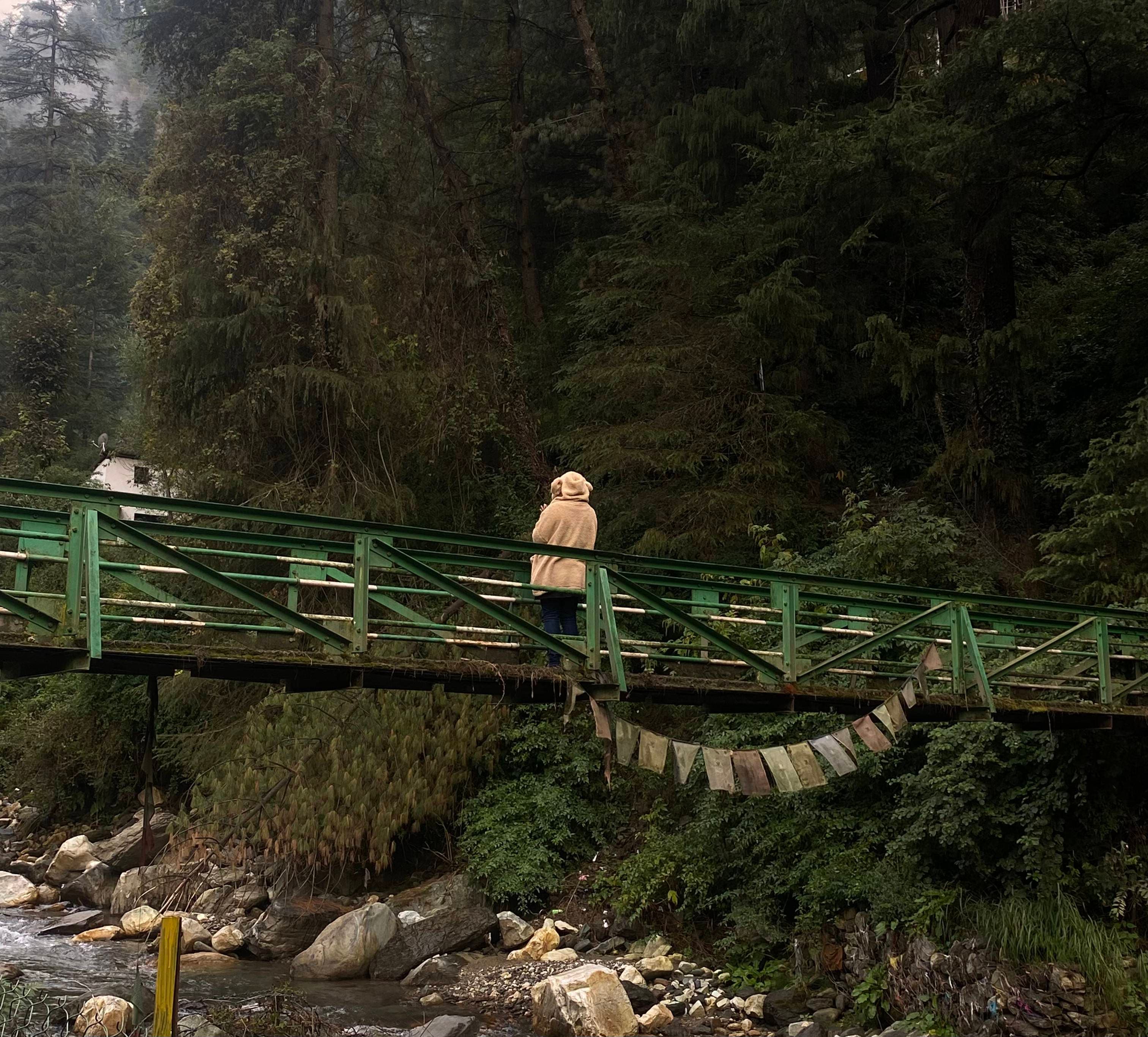 An image taken near the river in Jibhi