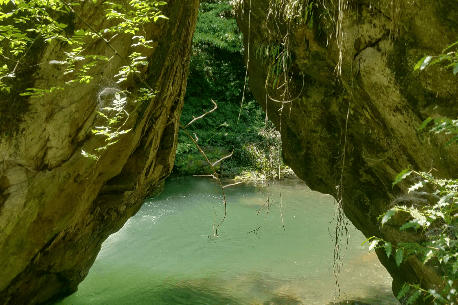 Mini Thailand in Jibhi // Image by Tripoto.com